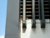 Damage Sparrow Nest