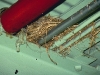 bird nests industrial warehouse